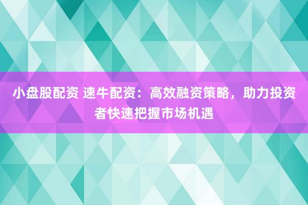 小盘股配资 速牛配资：高效融资策略，助力投资者快速把握市场机遇