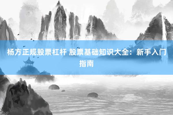 杨方正规股票杠杆 股票基础知识大全：新手入门指南