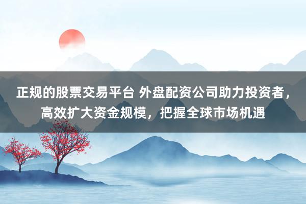 正规的股票交易平台 外盘配资公司助力投资者，高效扩大资金规模，把握全球市场机遇