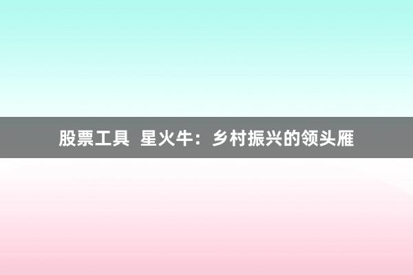 股票工具  星火牛：乡村振兴的领头雁